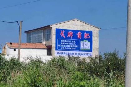 福建墙体广告公司 传统与创新并行的广告发布新力量